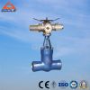 electric pressure seal power station gate valve
